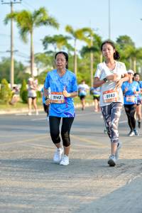 BIB: 9142, 9143
                            <button type="button" onclick="openModal(3440119)" class="btn btn-primary btn-sm float-right btn-popup" data-toggle="modal" data-target=".modal-high-quality">
                        <i class="fas fa-shopping-cart"></i> Add to Cart
                    </button>
                                            <button type="button" onclick="isThisMe(3440119, true)" class="btn btn-success btn-sm float-right btn-popup btn-isme hidden" data-toggle="tooltip" data-placement="bottom" title="นี่คือรูปของคุณใช่ไหม คลิกที่นี่เพื่อเอาเข้าอัลบั้ม">
                        <i class="fas fa-plus"></i> Add to album
                    </button>
                    <button type="button" onclick="isThisMe(3440119, false)" class="btn btn-warning btn-sm float-right btn-popup btn-isnotme hidden">
                        <i class="fas fa-ban"></i> Remove from album
                    </button>